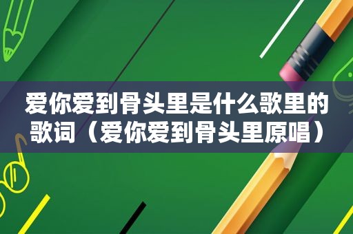 爱你爱到骨头里是什么歌里的歌词（爱你爱到骨头里原唱）