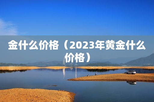 金什么价格（2023年黄金什么价格）