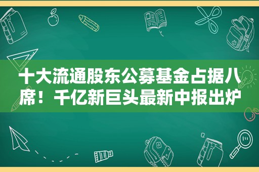 十大流通股东公募基金占据八席！千亿新巨头最新中报出炉