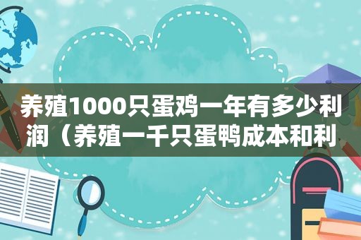 养殖1000只蛋鸡一年有多少利润（养殖一千只蛋鸭成本和利润）