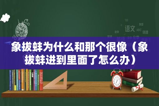 象拔蚌为什么和那个很像（象拔蚌进到里面了怎么办）