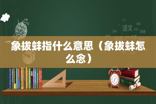 象拔蚌指什么意思（象拔蚌怎么念）