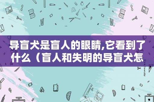 导盲犬是盲人的眼睛,它看到了什么（盲人和失明的导盲犬怎么安全走下去）