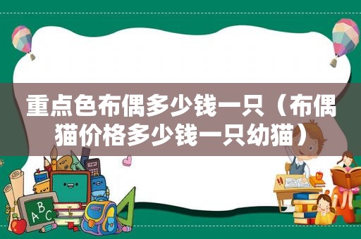 重点色布偶多少钱一只（布偶猫价格多少钱一只幼猫）