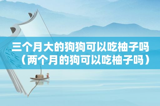 三个月大的狗狗可以吃柚子吗（两个月的狗可以吃柚子吗）