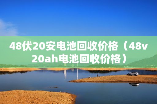 48伏20安电池回收价格（48v20ah电池回收价格）