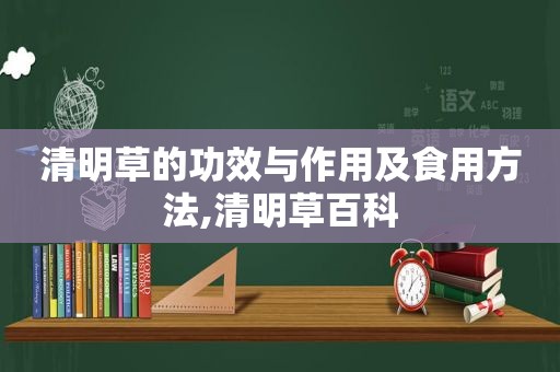 清明草的功效与作用及食用方法,清明草百科