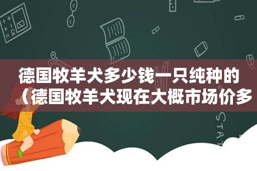 德国牧羊犬多少钱一只纯种的（德国牧羊犬现在大概市场价多少钱一只）