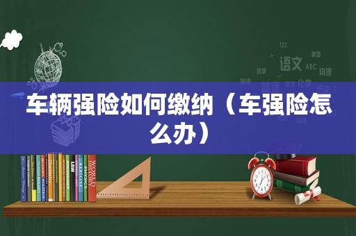 车辆强险如何缴纳（车强险怎么办）