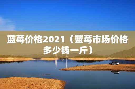 蓝莓价格2021（蓝莓市场价格多少钱一斤）