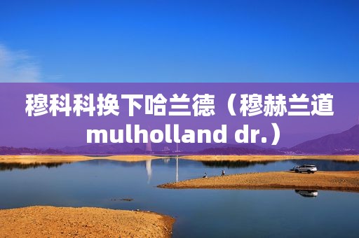 穆科科换下哈兰德（穆赫兰道 mulholland dr.）