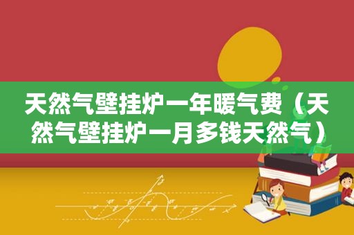 天然气壁挂炉一年暖气费（天然气壁挂炉一月多钱天然气）