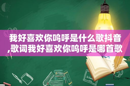 我好喜欢你呜呼是什么歌抖音,歌词我好喜欢你呜呼是哪首歌