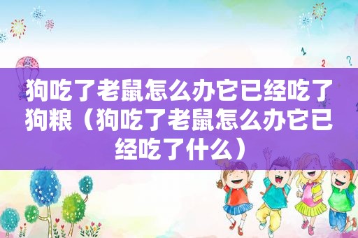 狗吃了老鼠怎么办它已经吃了狗粮（狗吃了老鼠怎么办它已经吃了什么）