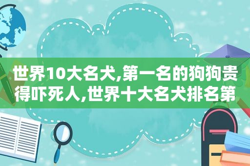 世界10大名犬,第一名的狗狗贵得吓死人,世界十大名犬排名第一