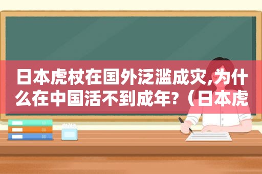 日本虎杖在国外泛滥成灾,为什么在中国活不到成年?（日本虎杖为什么没有在中国泛滥）