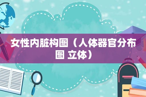 女性内脏构图（人体器官分布图 立体）