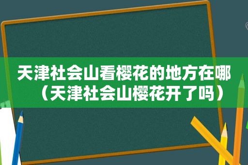 天津社会山看樱花的地方在哪（天津社会山樱花开了吗）