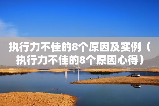 执行力不佳的8个原因及实例（执行力不佳的8个原因心得）