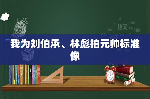 我为刘伯承、林彪拍元帅标准像