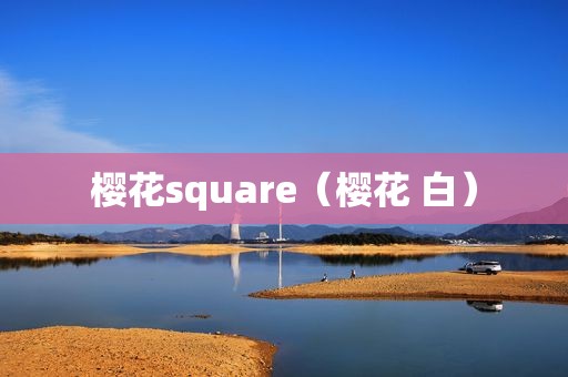 樱花square（樱花 白）