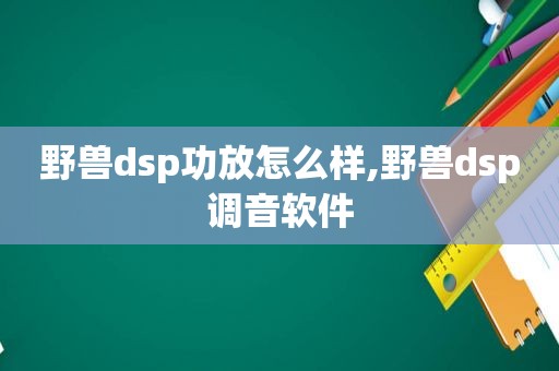 野兽dsp功放怎么样,野兽dsp调音软件