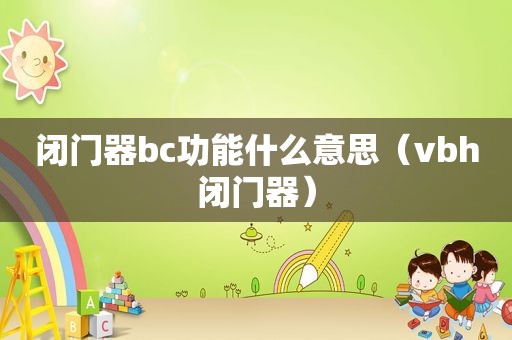 闭门器bc功能什么意思（vbh闭门器）