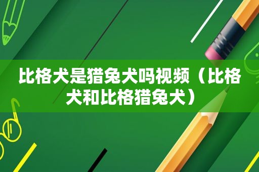 比格犬是猎兔犬吗视频（比格犬和比格猎兔犬）