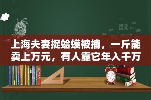 上海夫妻捉蛤蟆被捕，一斤能卖上万元，有人靠它年入千万