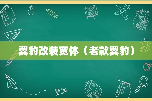 翼豹改装宽体（老款翼豹）