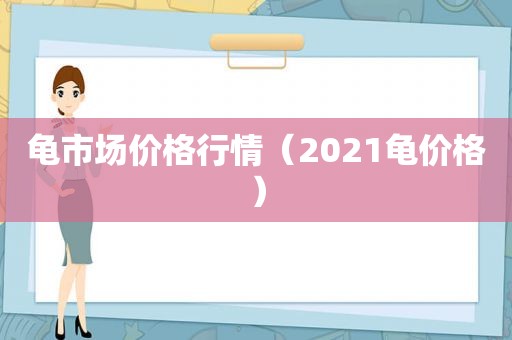 龟市场价格行情（2021龟价格）