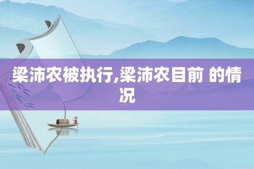 梁沛农被执行,梁沛农目前 的情况