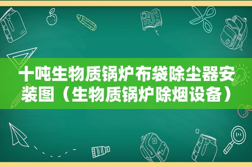 十吨生物质锅炉布袋除尘器安装图（生物质锅炉除烟设备）