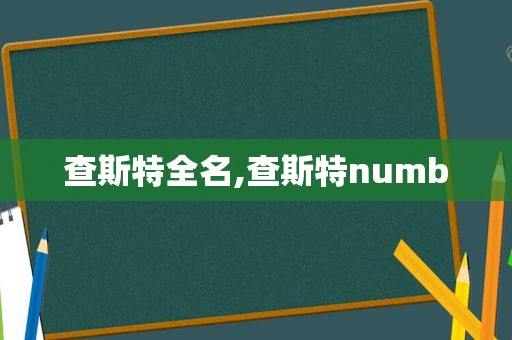 查斯特全名,查斯特numb