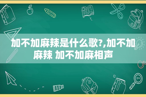 加不加麻辣是什么歌?,加不加麻辣 加不加麻相声