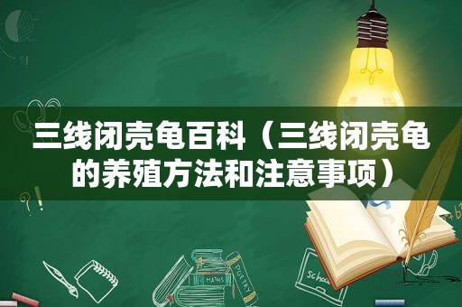 三线闭壳龟百科（三线闭壳龟的养殖方法和注意事项）