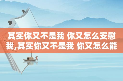 其实你又不是我 你又怎么安慰我,其实你又不是我 你又怎么能体会我