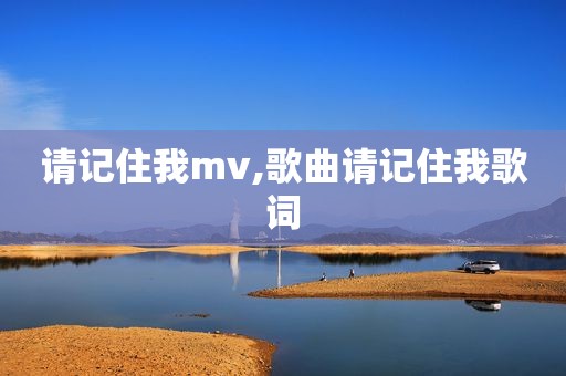 请记住我mv,歌曲请记住我歌词