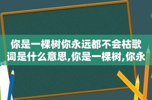 你是一棵树你永远都不会枯歌词是什么意思,你是一棵树,你永远都不会哭