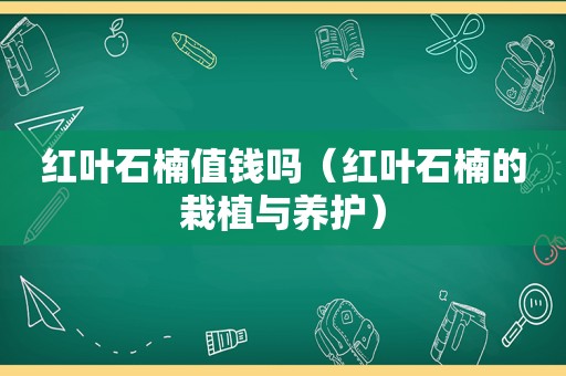 红叶石楠值钱吗（红叶石楠的栽植与养护）