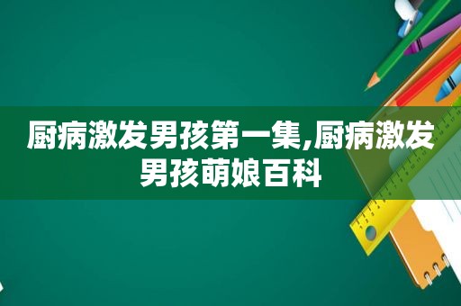 厨病激发男孩第一集,厨病激发男孩萌娘百科