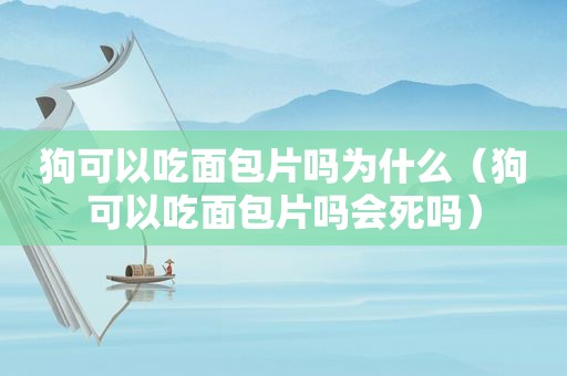 狗可以吃面包片吗为什么（狗可以吃面包片吗会死吗）