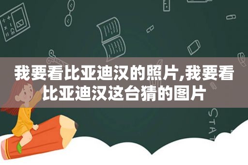 我要看比亚迪汉的照片,我要看比亚迪汉这台猜的图片