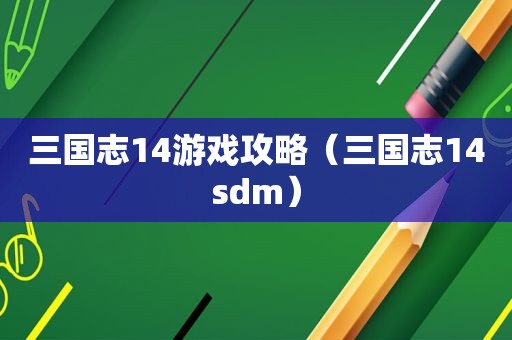 三国志14游戏攻略（三国志14sdm）