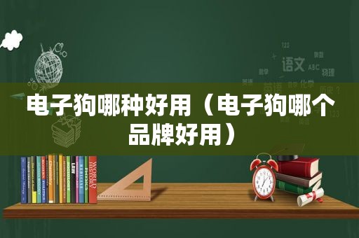 电子狗哪种好用（电子狗哪个品牌好用）