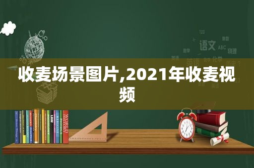 收麦场景图片,2021年收麦视频