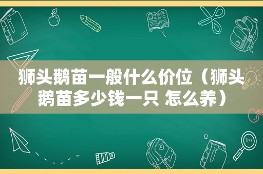 狮头鹅苗一般什么价位（狮头鹅苗多少钱一只 怎么养）