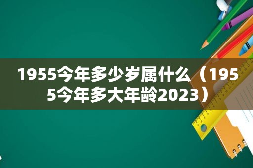 1955今年多少岁属什么（1955今年多大年龄2023）