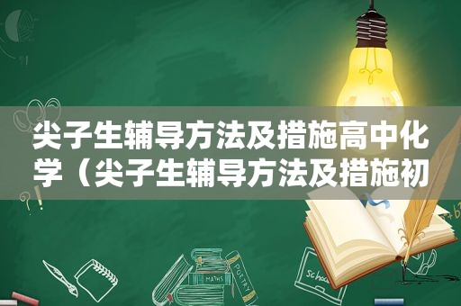 尖子生辅导方法及措施高中化学（尖子生辅导方法及措施初中语文）