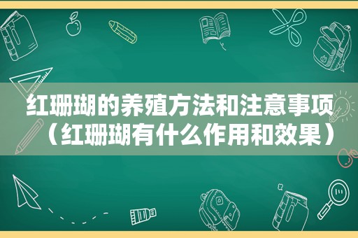 红珊瑚的养殖方法和注意事项（红珊瑚有什么作用和效果）